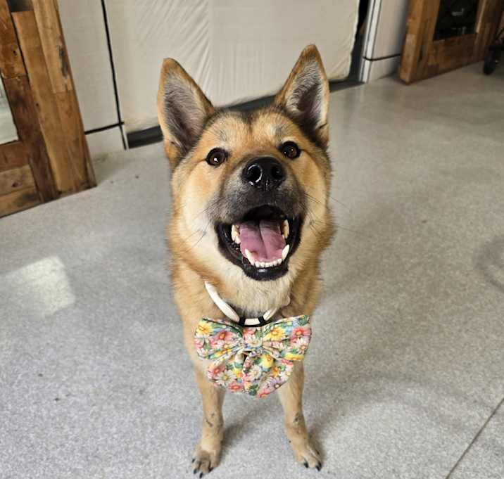Photo of EUNGYO