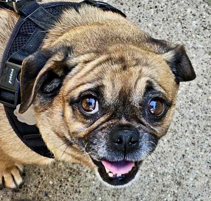 Photo of Bugg