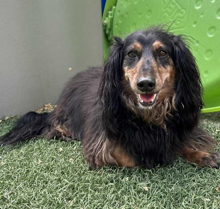 Photo of Captain