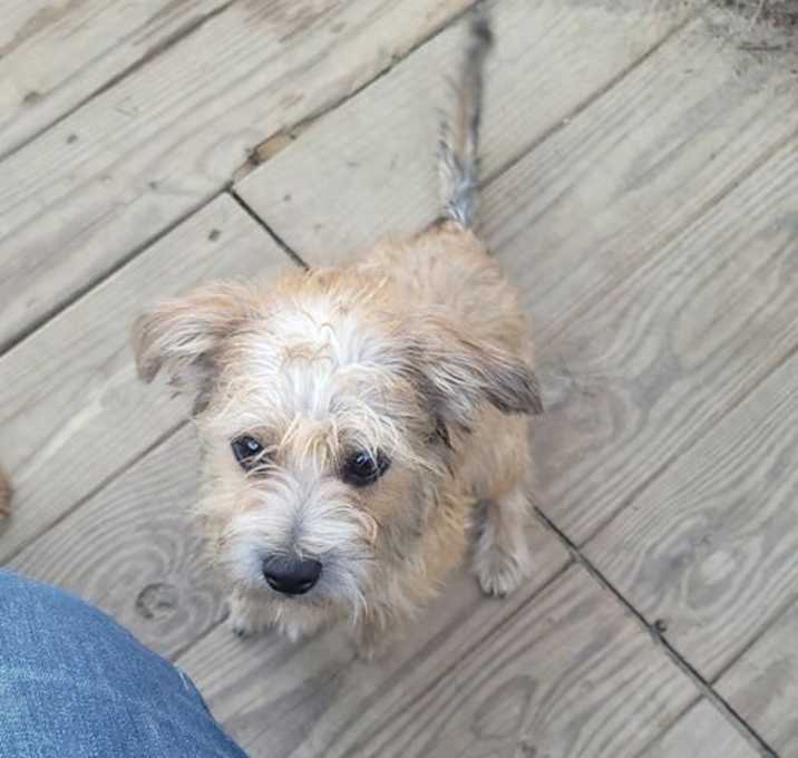 Photo of Barkley