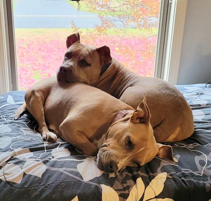 Photo of Bonnie & Clyde