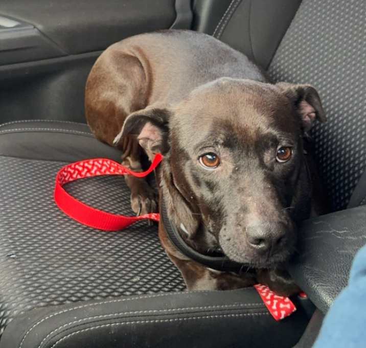 Photo of Pepper