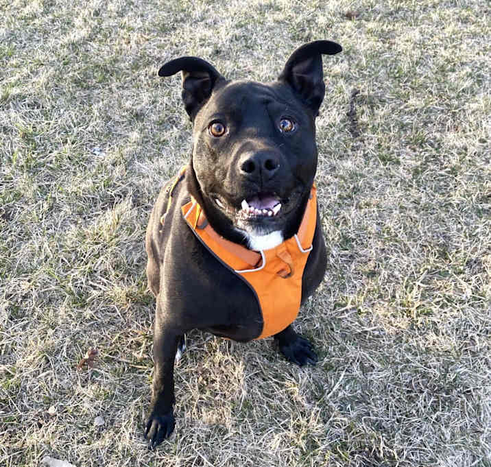 Photo of Stryker