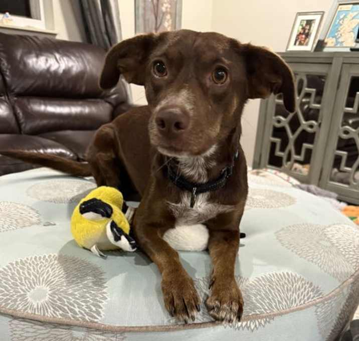 Photo of Morgan