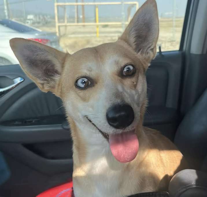 Photo of Athena