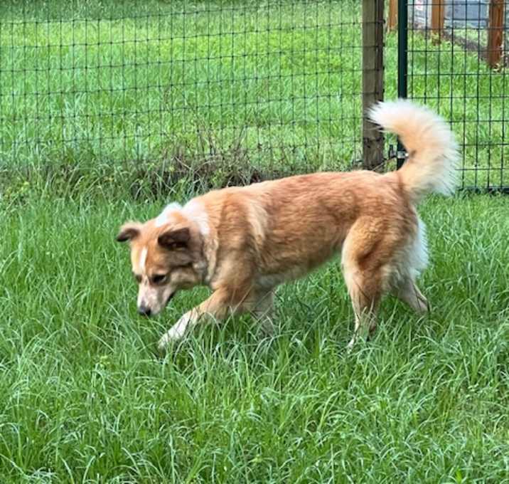 Photo of STORMY