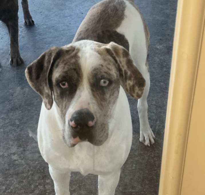 Photo of Jax