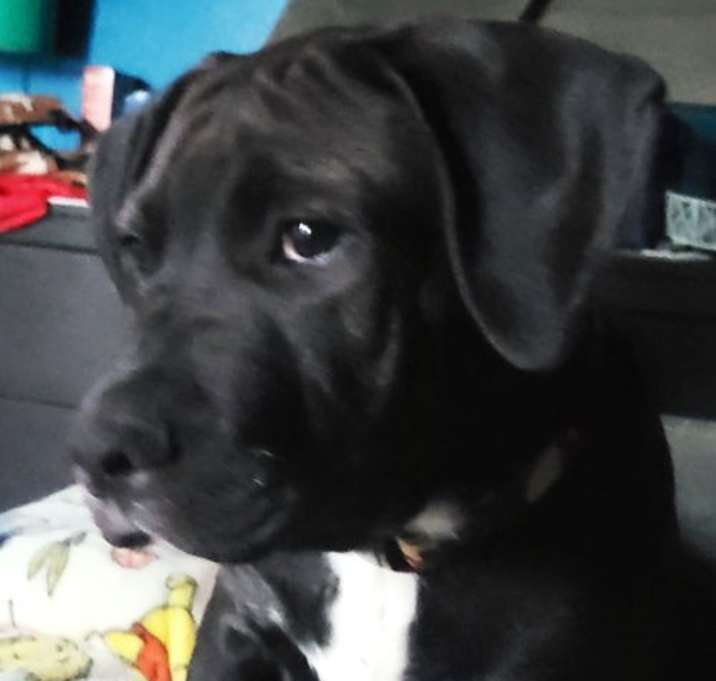 Photo of Bruce