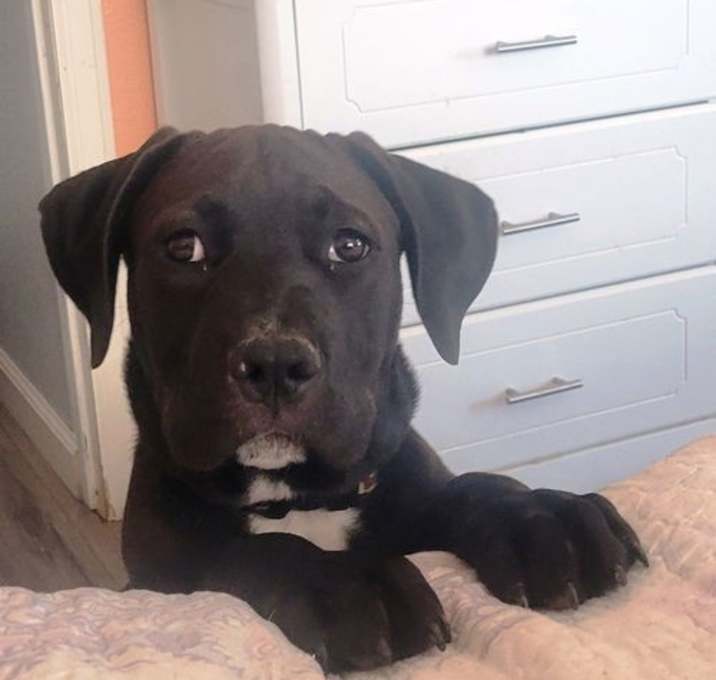 Photo of Bruce