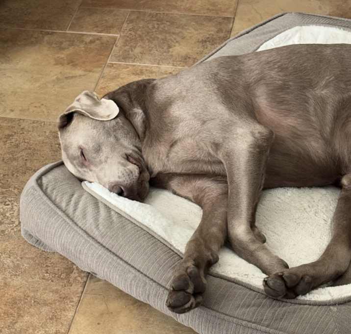 Photo of Astro