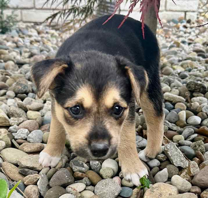 Photo of Jillie
