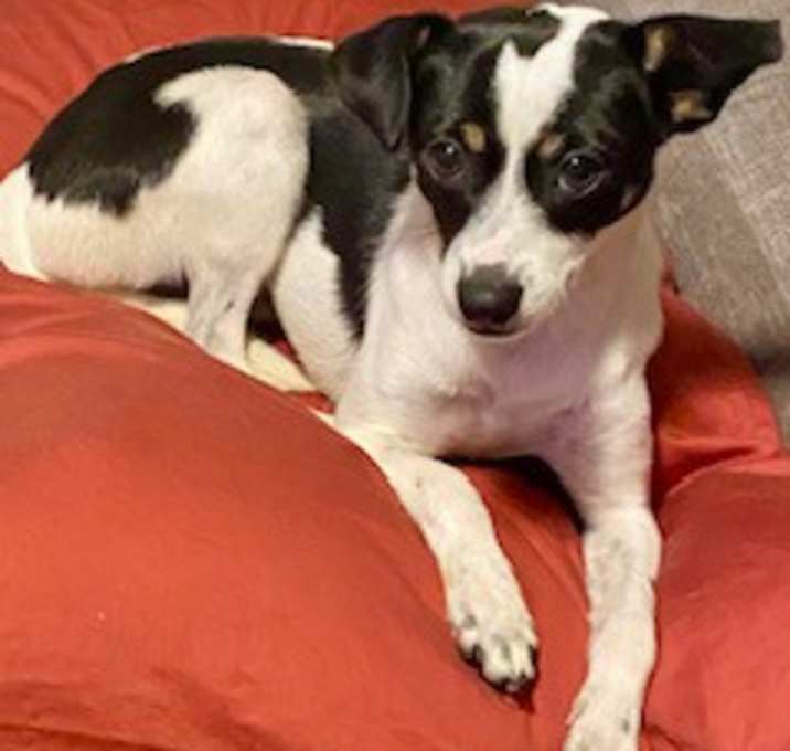 Photo of Sophie
