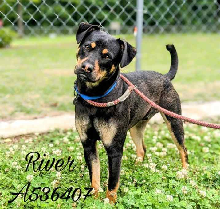 Photo of RIVER