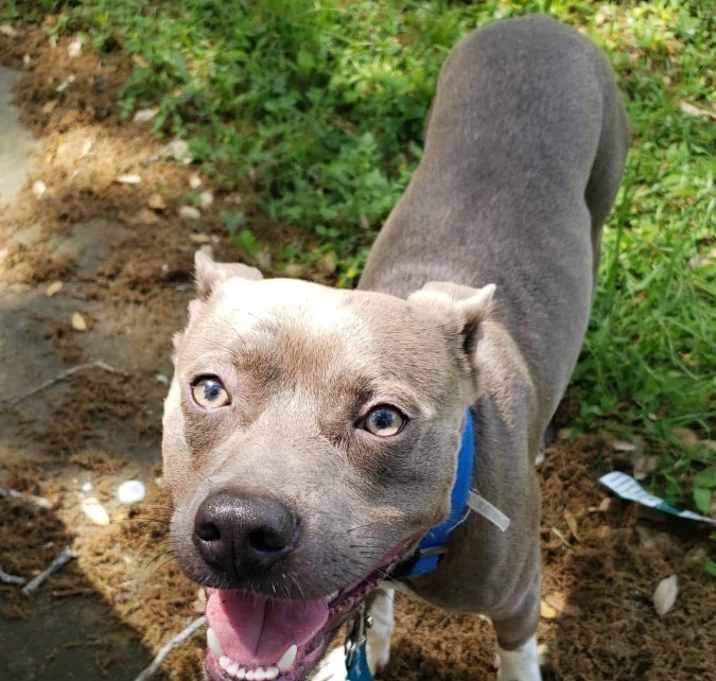Photo of Ranger