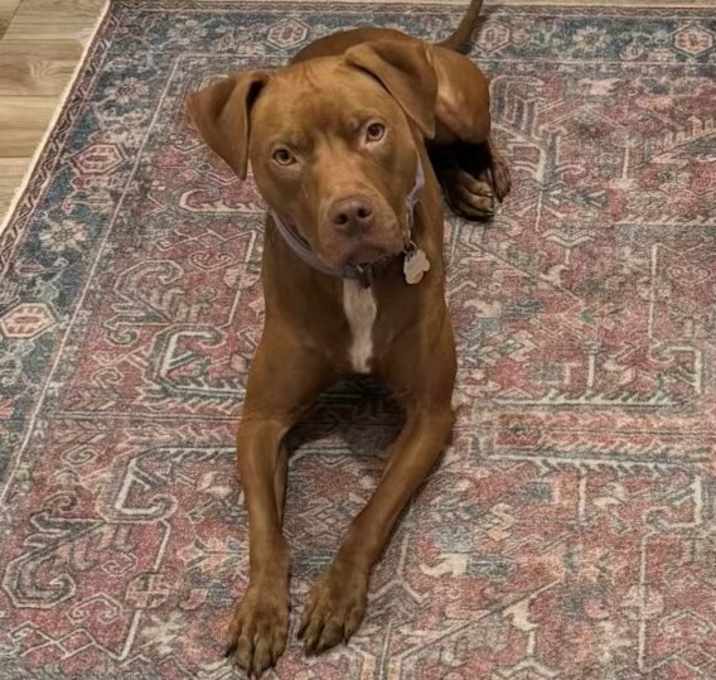 Photo of Destiny/Penny