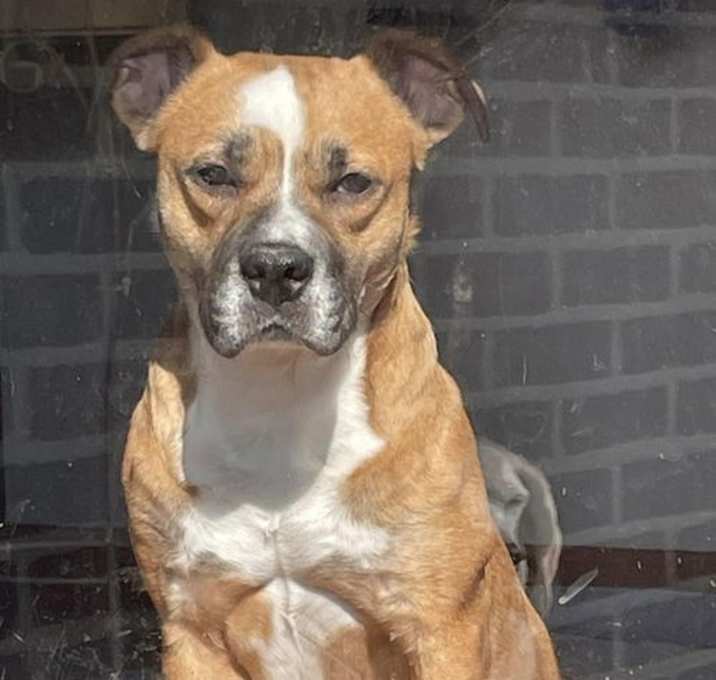 Photo of Cleo