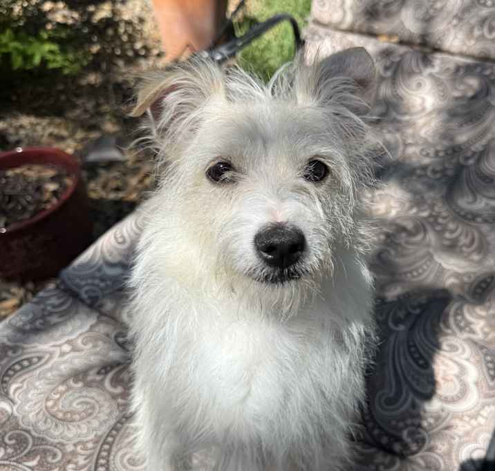 Photo of Goober