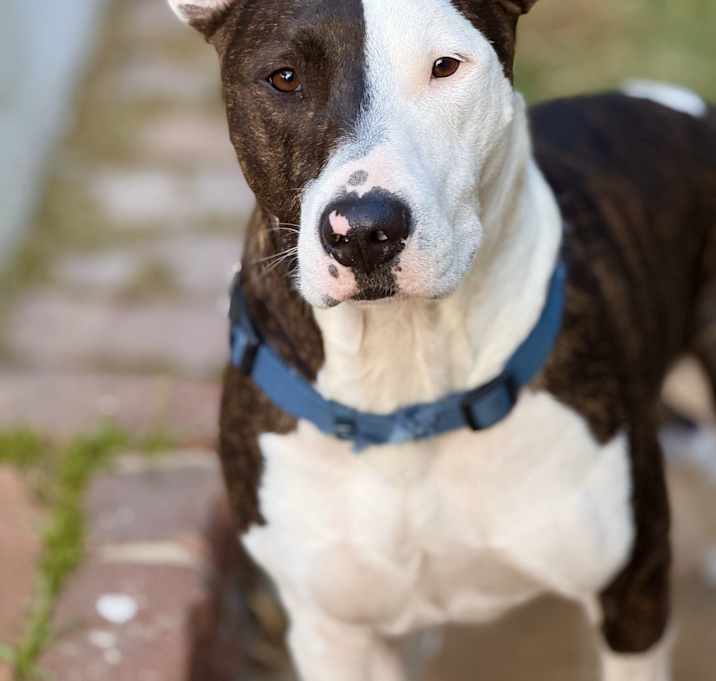 Photo of Parker