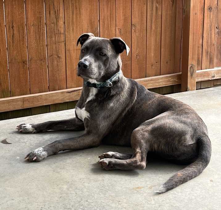 Photo of Tank
