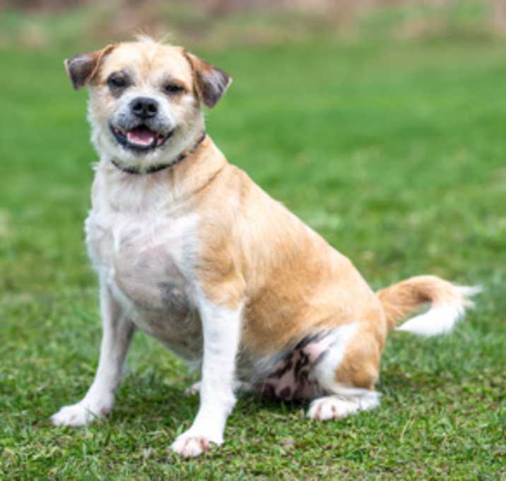 Photo of Coco