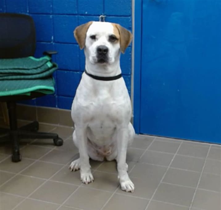 Photo of MOLLY