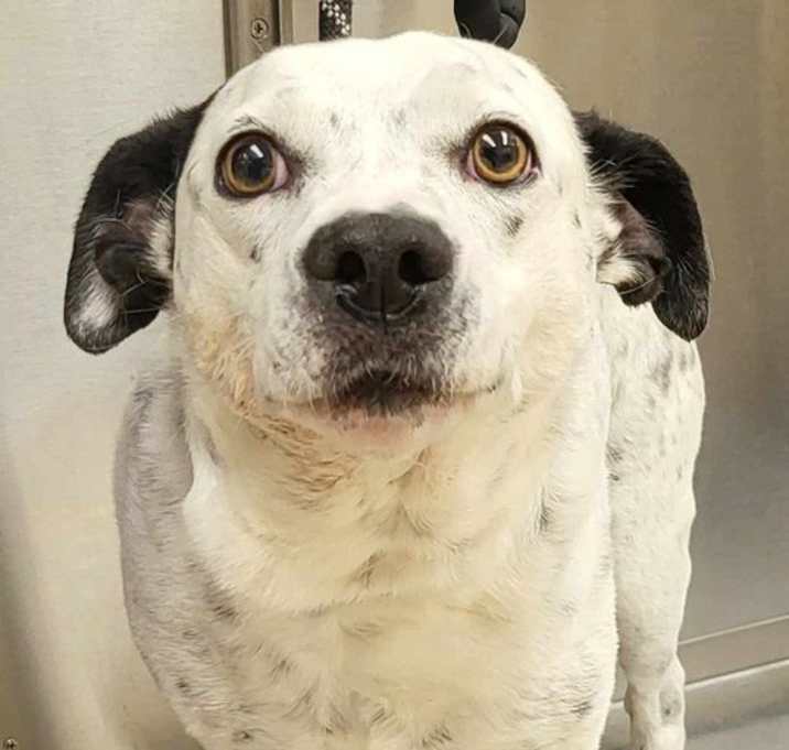 Photo of Tuck Tuck
