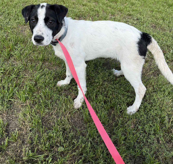 Photo of Derby