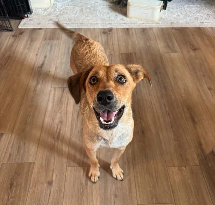 Photo of Winnie