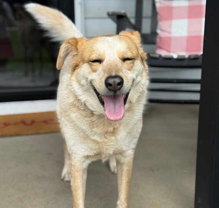 Photo of Sugar