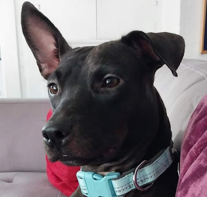 Photo of Happy