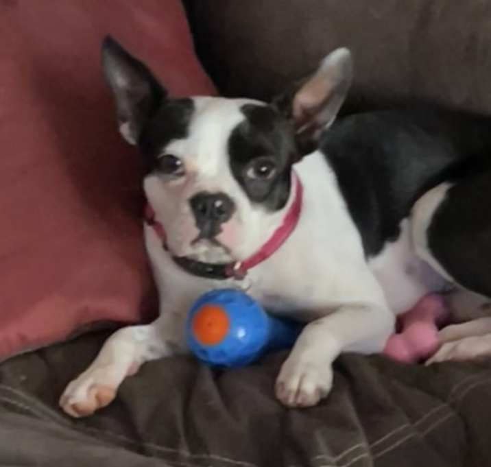 Photo of Delilah
