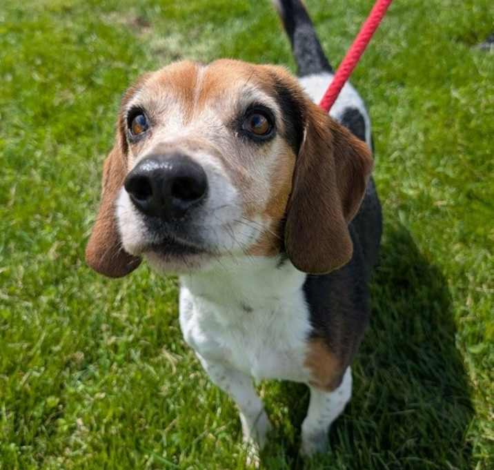 Photo of Coop