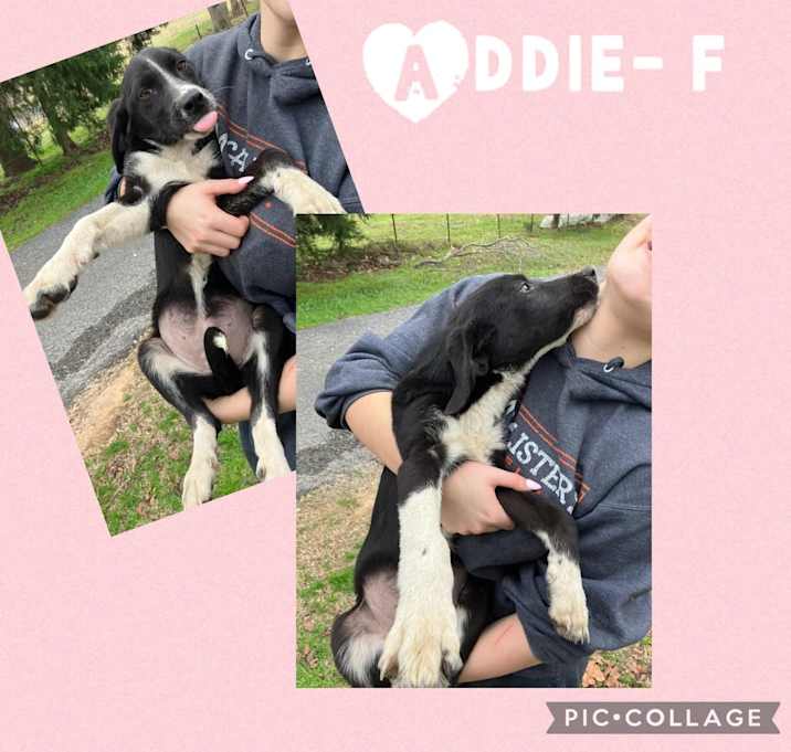 Photo of Addie