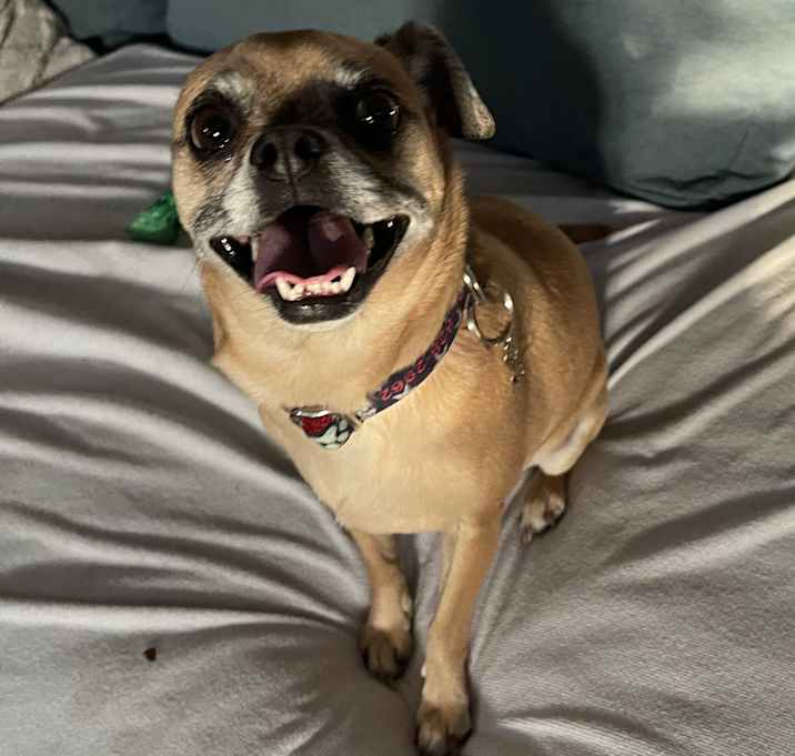 Photo of Maggie