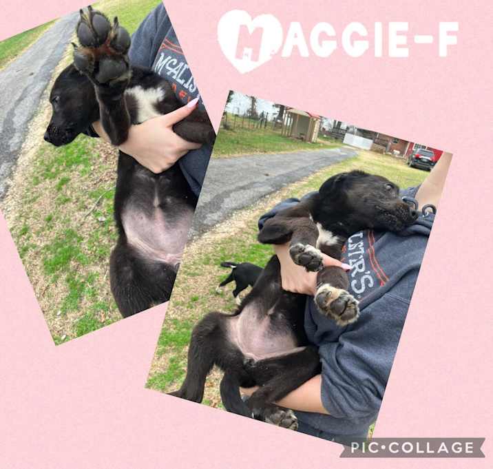 Photo of Maggie