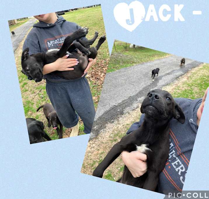 Photo of Jack
