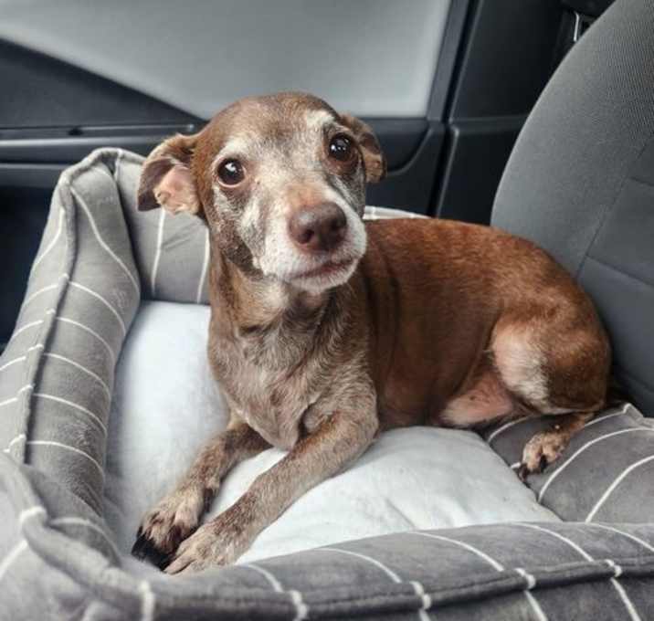 Photo of Killer