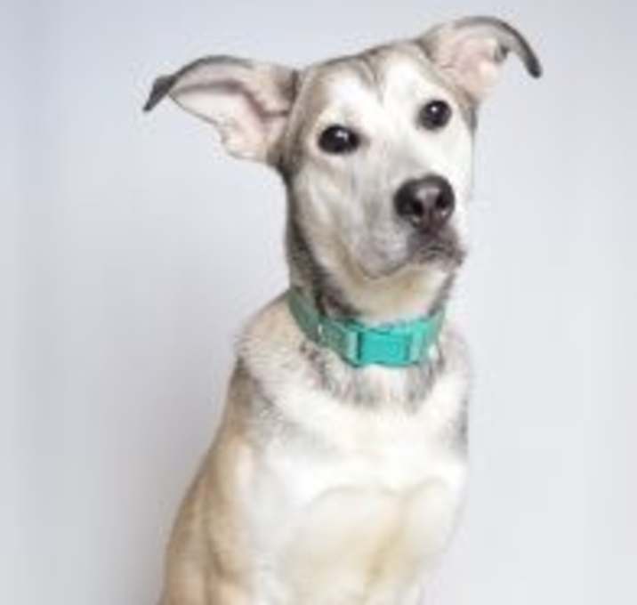 Photo of Aurora