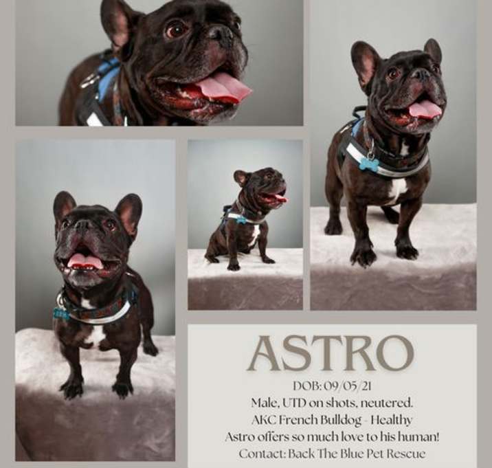 Photo of Astro