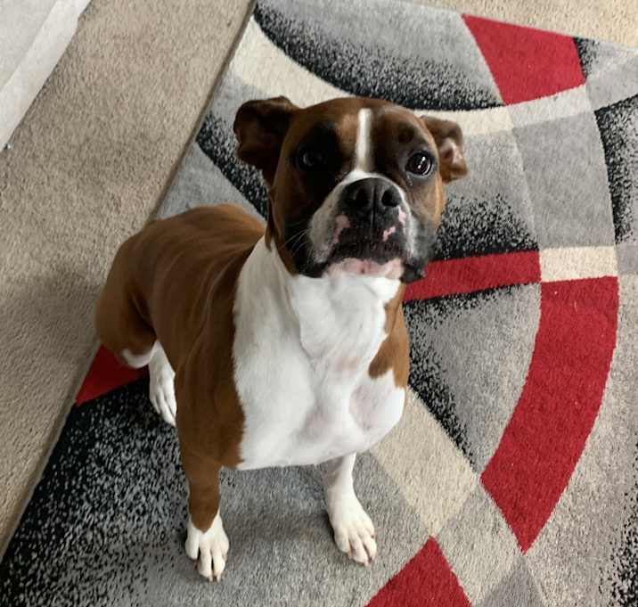 Photo of Roxy