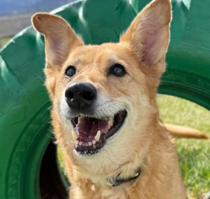 Photo of Ellie