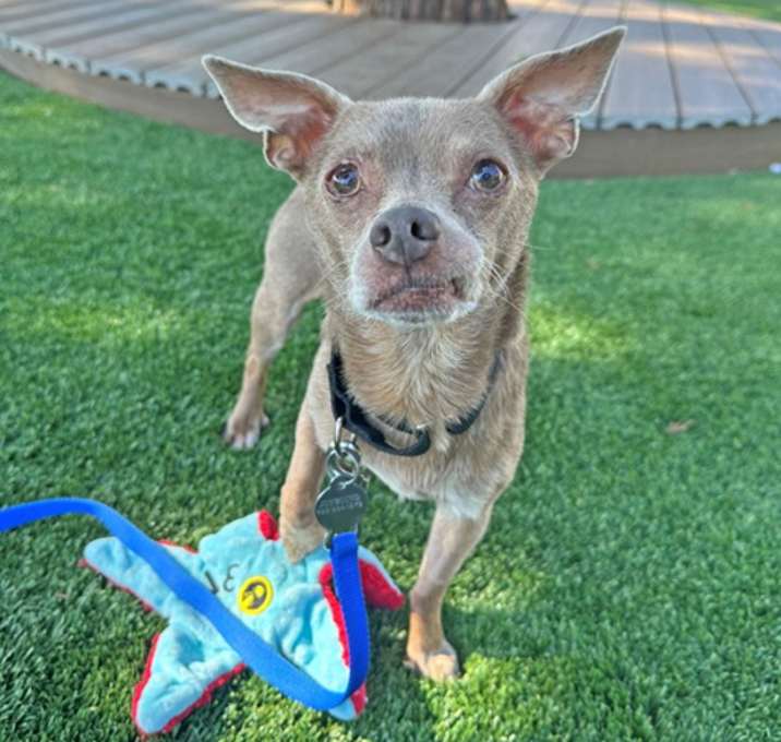 Photo of Clyde