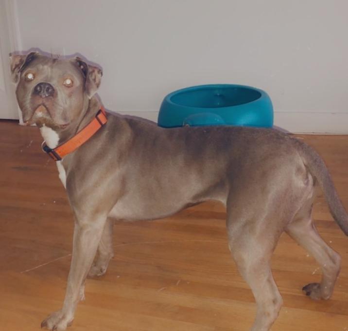 Photo of Nyla