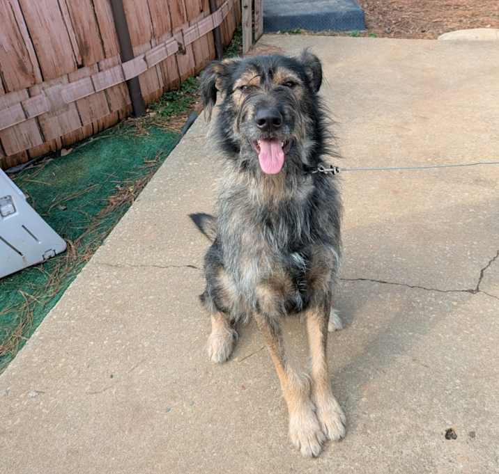 Photo of Rex