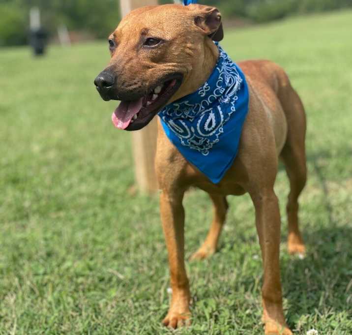 Photo of Hercules formely Kobe