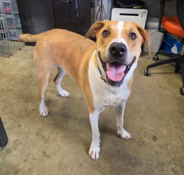 Photo of Remington