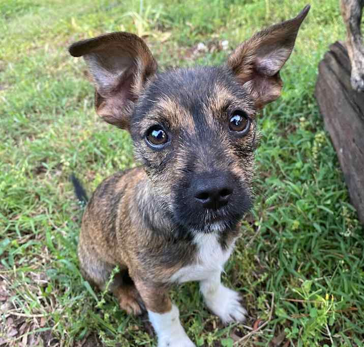 Photo of Finnick
