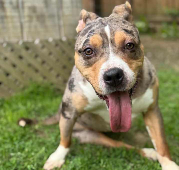 Photo of Evie