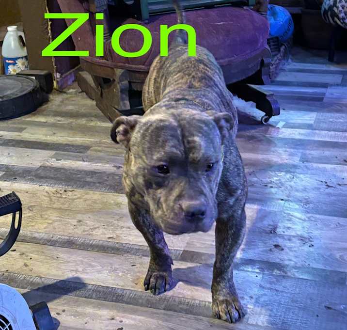 Photo of Zion