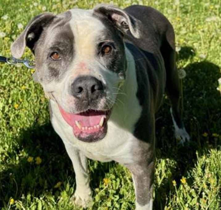 Photo of TANK
